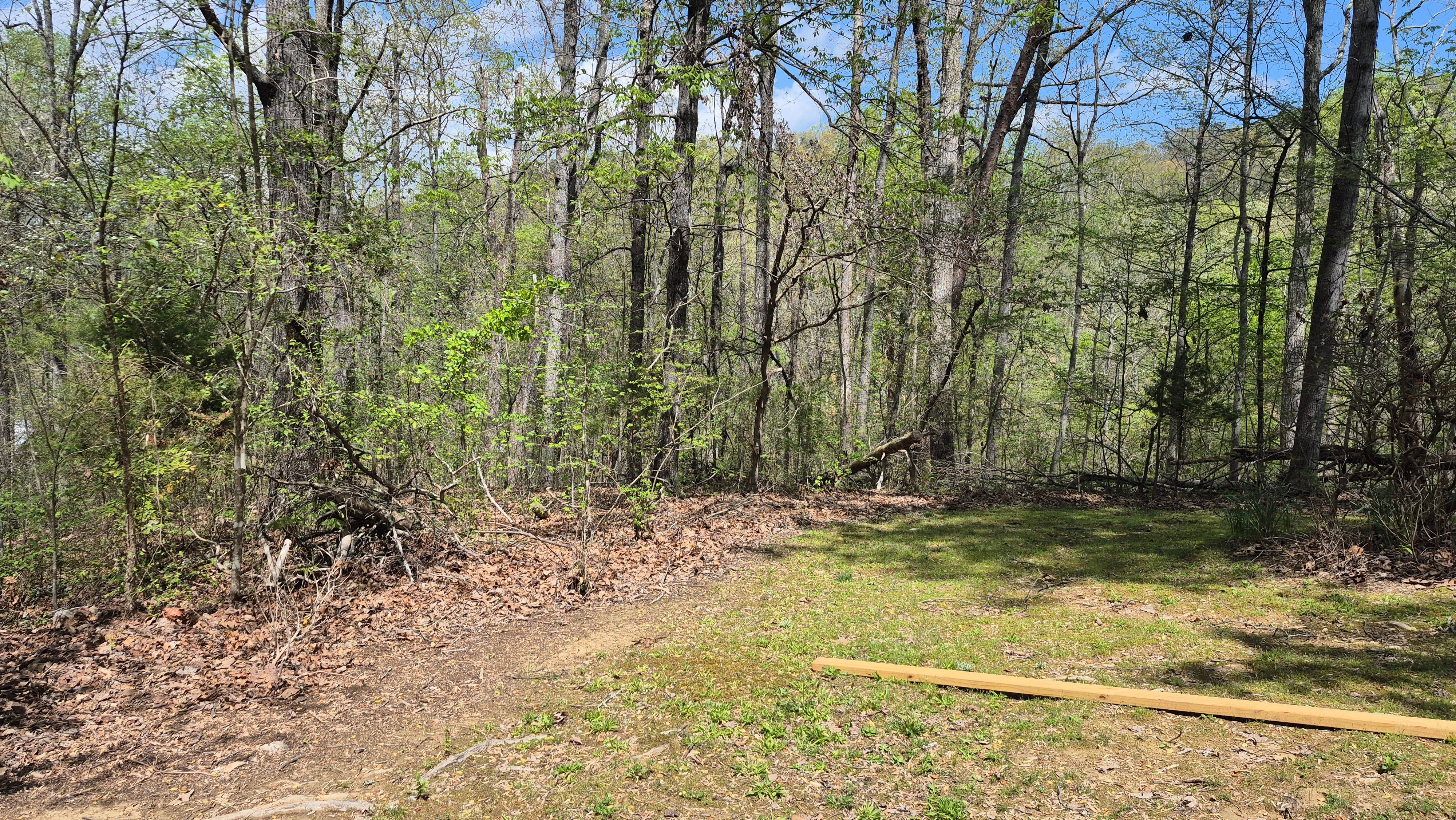  for Liberty Landscapes and Services in Ringgold, GA