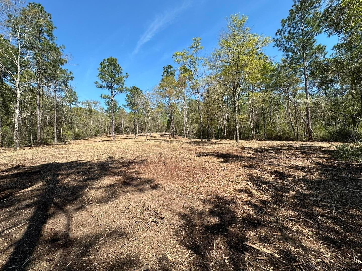 All Photos for White’s Land Maintenance in Milton,, FL