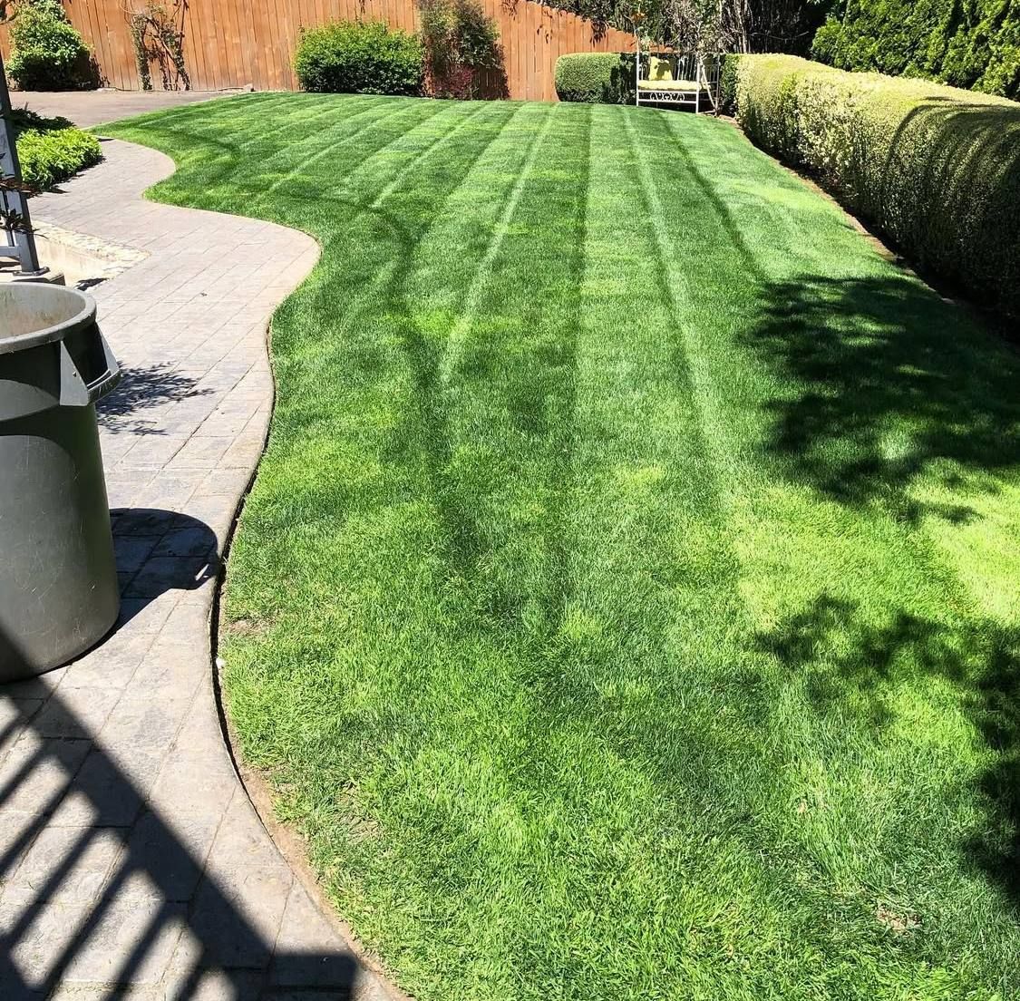 All Photos for Rs lawn Care llc in Beavertown, OR