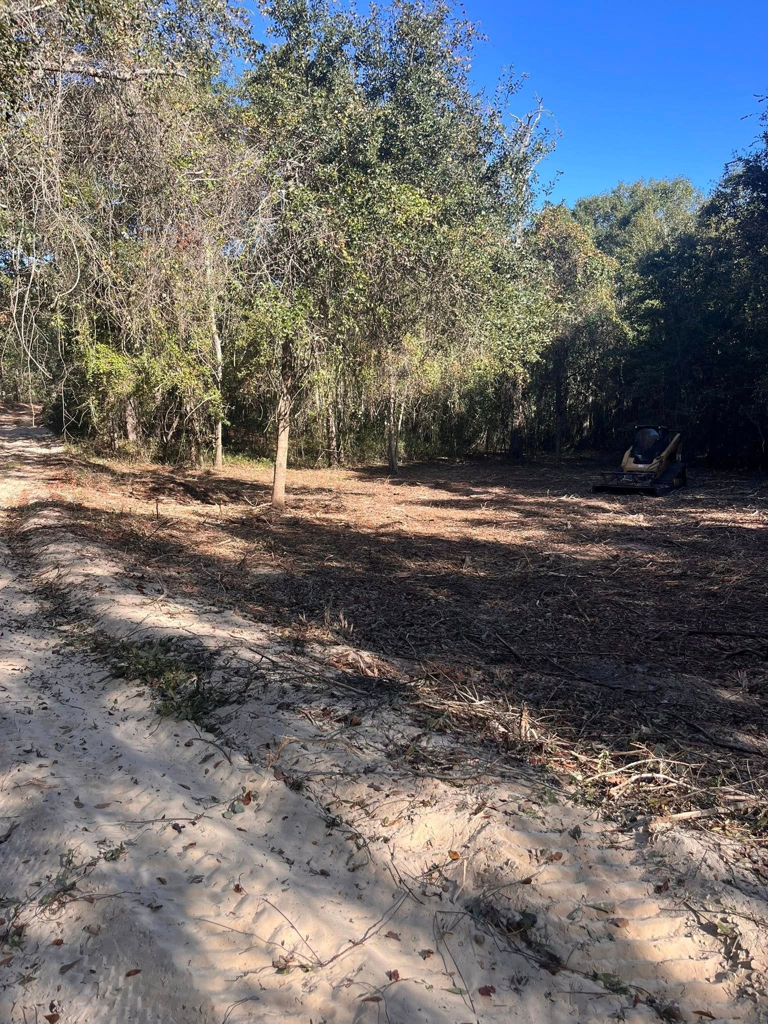  for Pinewood Land Management LLC in Nashville, GA