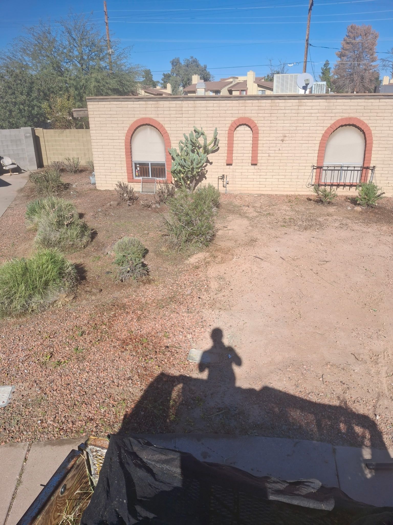  for Family Landscaping in Phoenix, AZ