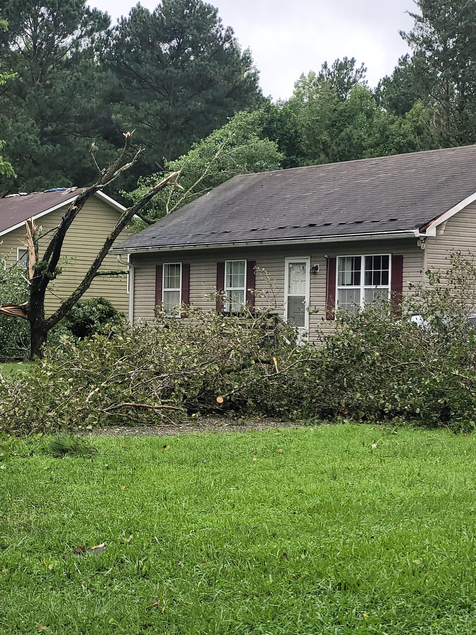  for Woody's Tree and Landscape in Fredericksburg, VA