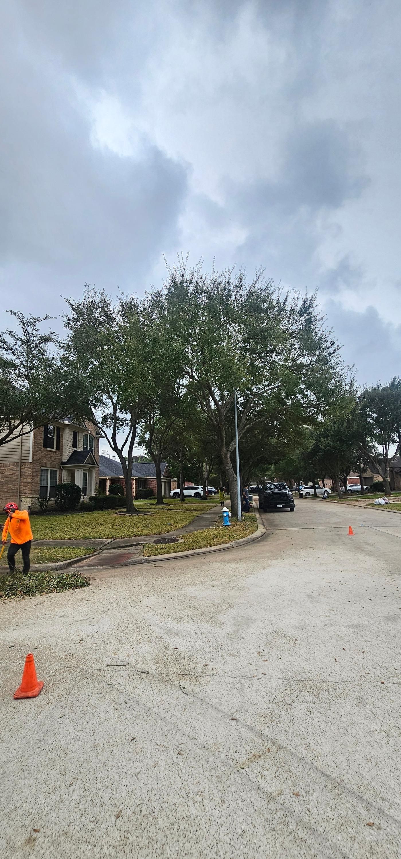  for Servin's Tree Care  in Houston, TX