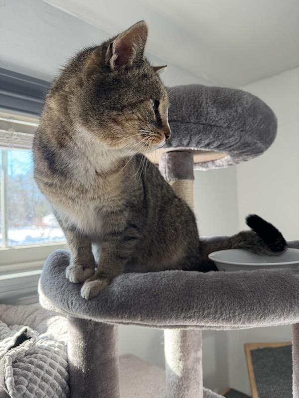  for Sullivan Sanctuary of Maine in Brunswick, ME