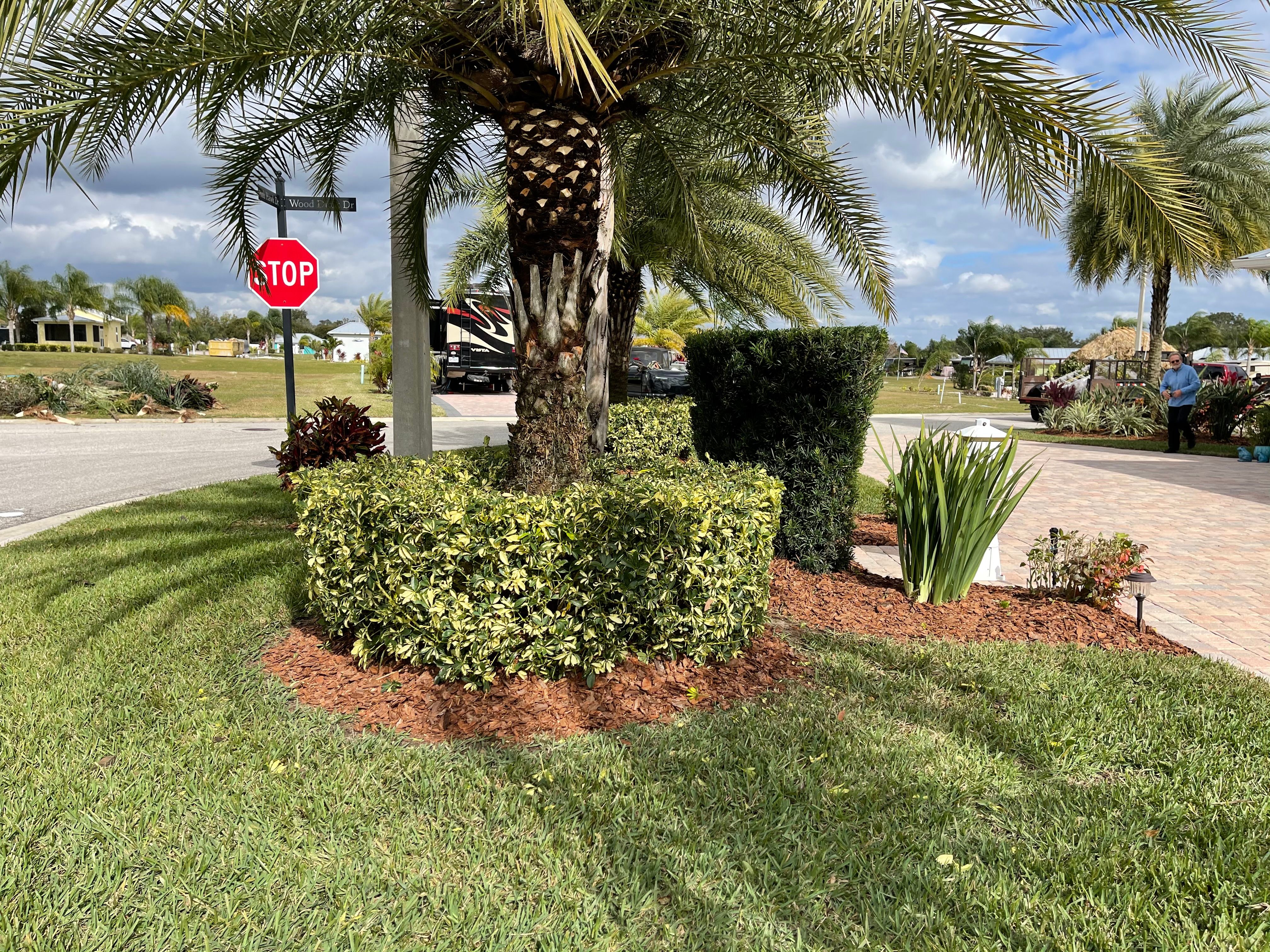 All Photos for MyerScapes Environmental LLC in Mulberry, FL