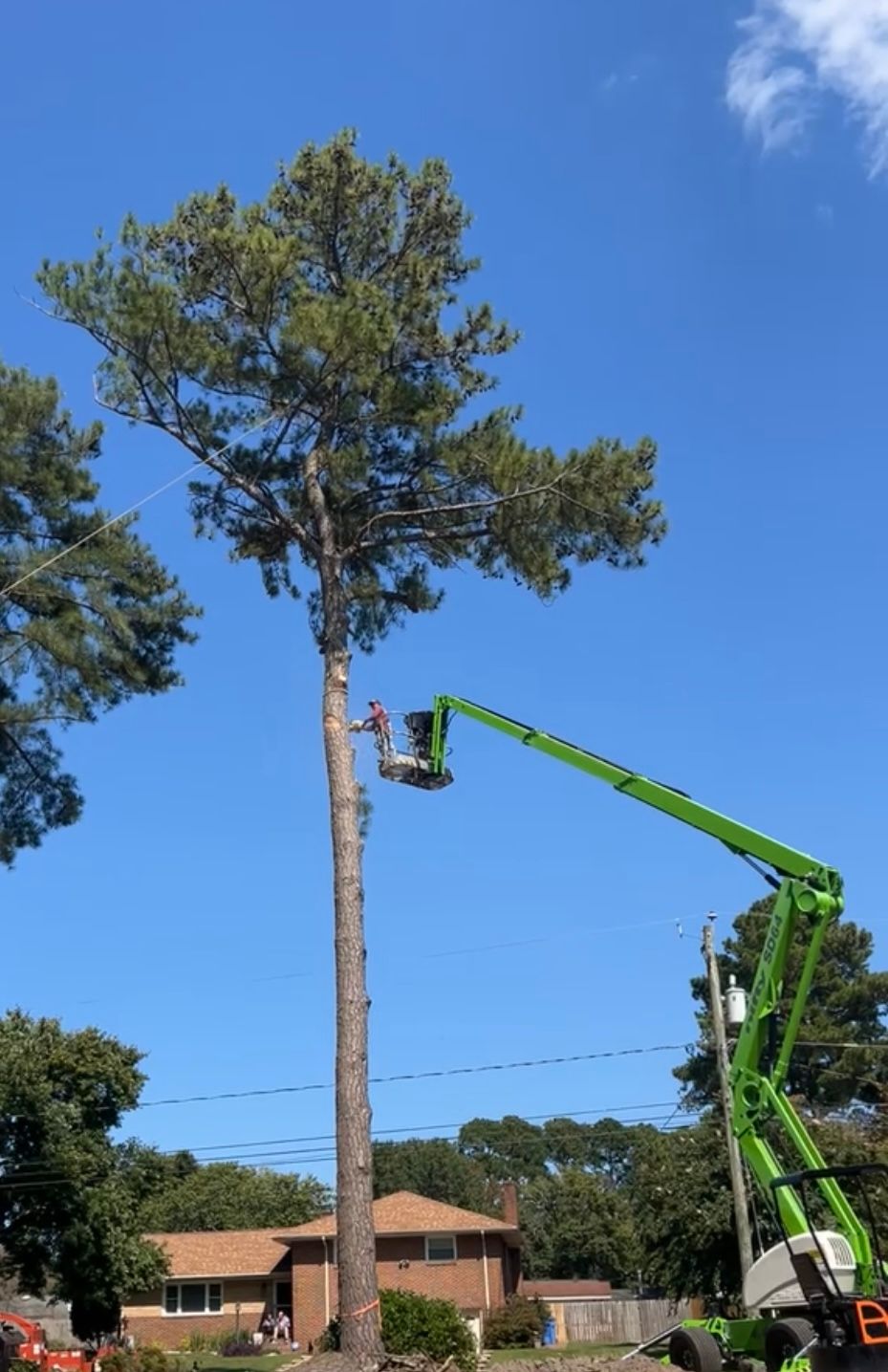  for James River Tree Service in Suffolk, VA