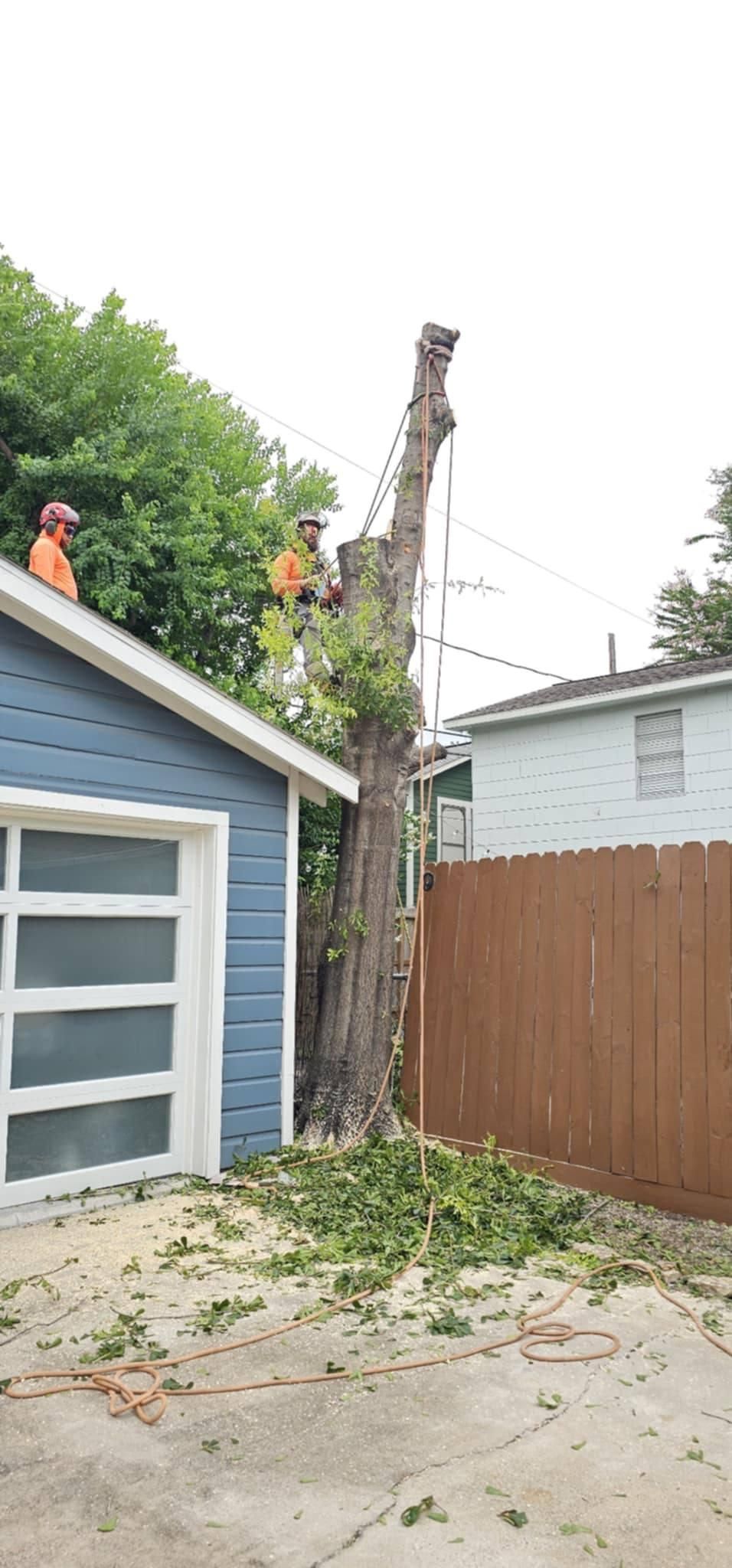  for Servin's Tree Care  in Houston, TX