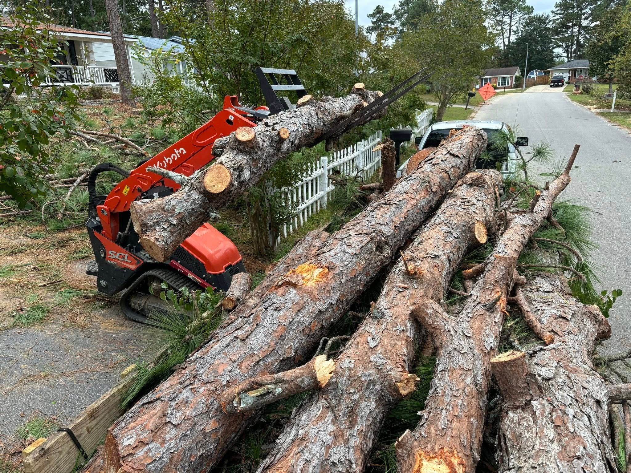  for Total Tree Care in Erwin, North Carolina