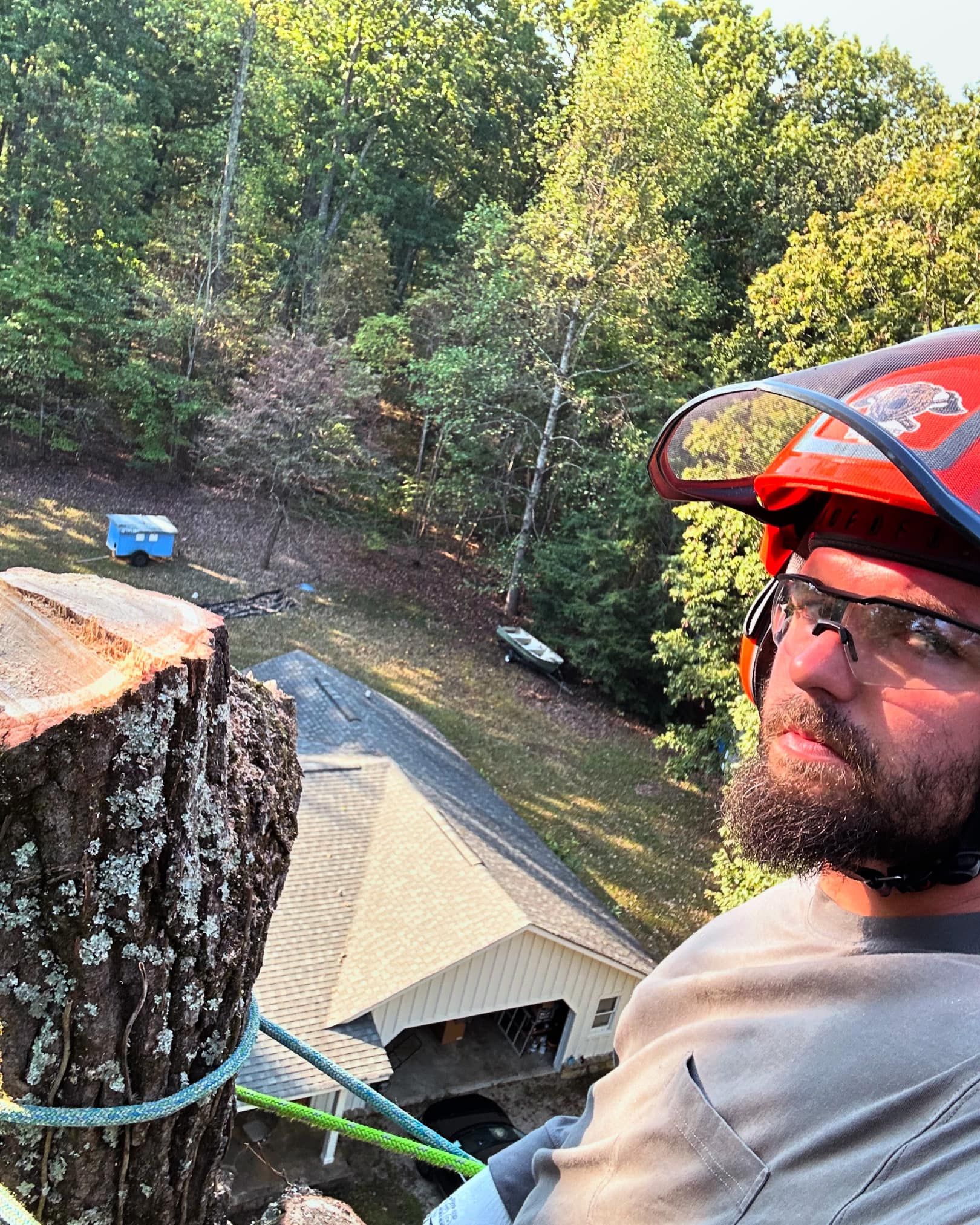 Tree Removal for McBee’s Tree Service in Sewanee, TN