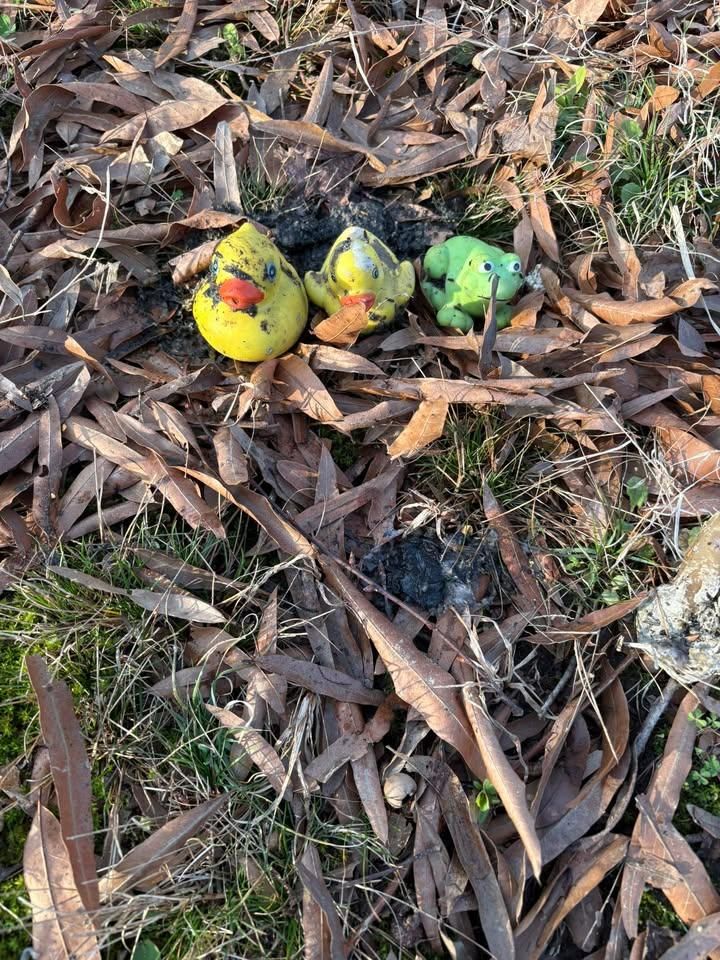 All Photos for Septic Pros LLC in Rockwell, NC