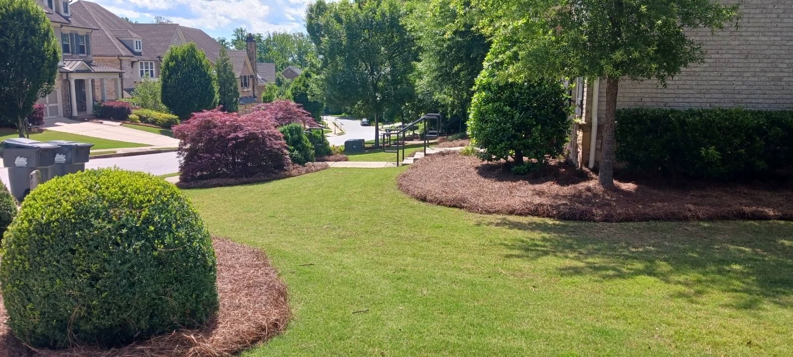 All Photos for BAM Another Pinestraw Lot in Flowery Branch, GA