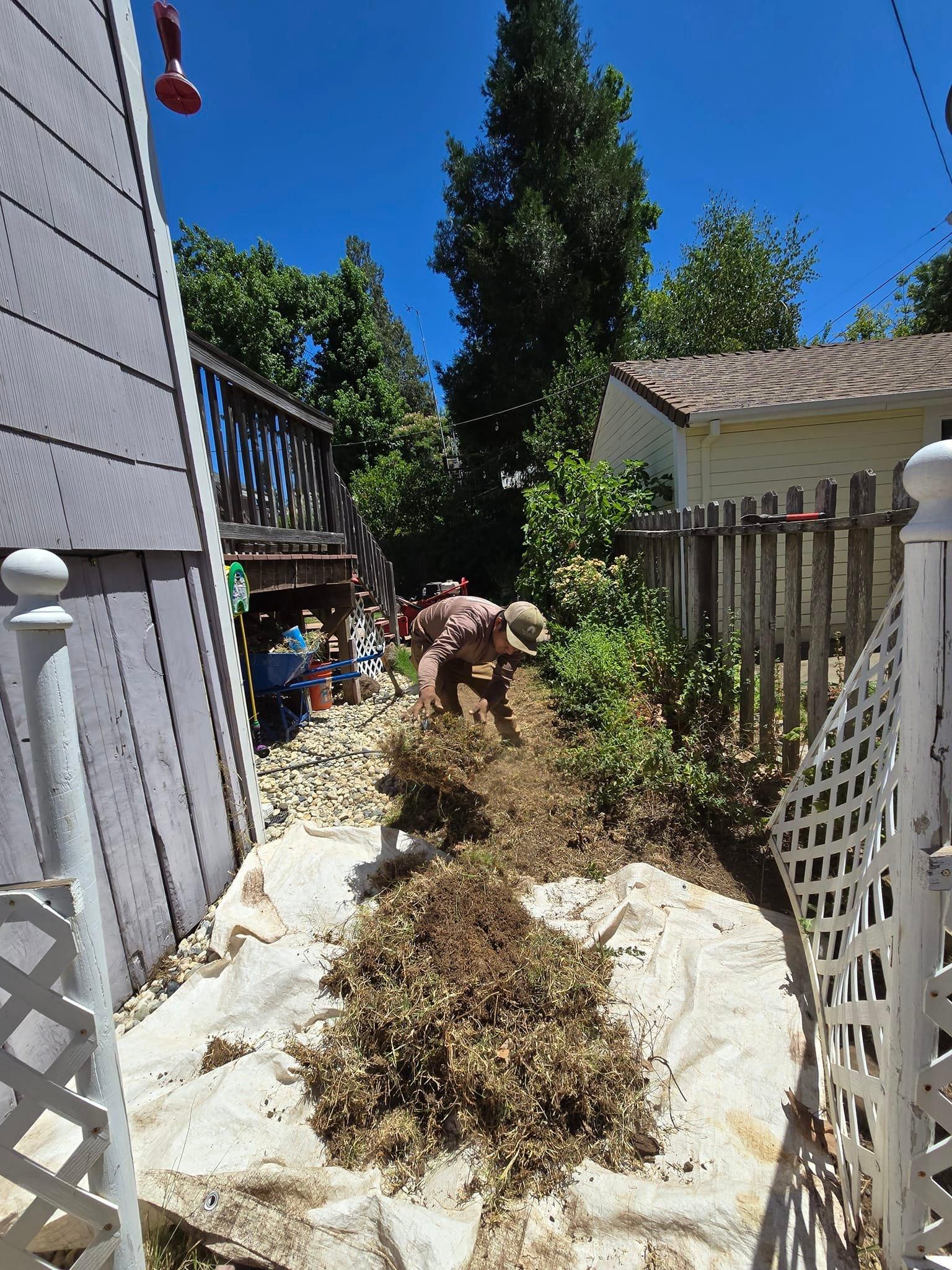  for Terra Heights Tree Experts & Landscaping  in Grass Valley,  CA