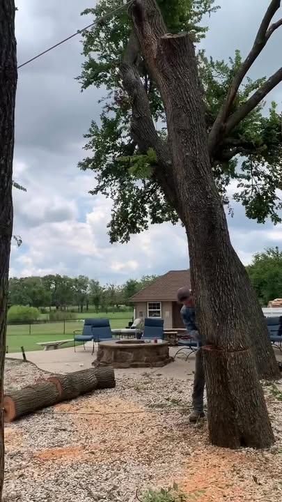  for Marks Tree Service in Fort Worth, TX