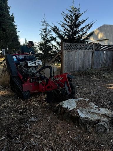  for Willamette Landscaping & Tree Services in Albany, OR