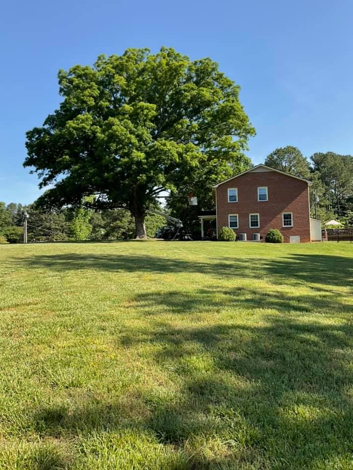 Tree Removal for Hoss Tree Works & Logging in Durham, NC