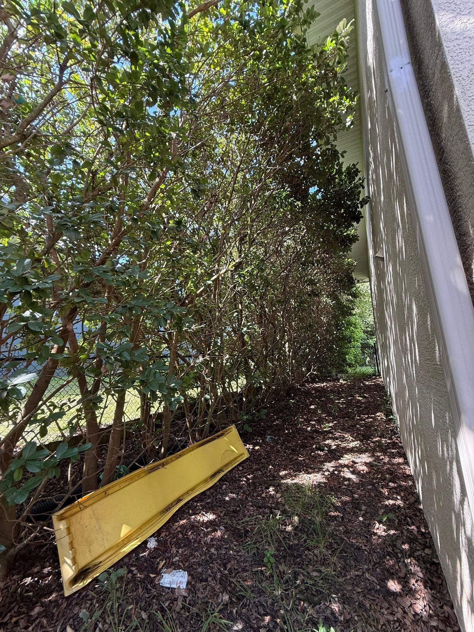  for New Era Lawn Care & Landscaping in Lakeland,  FL
