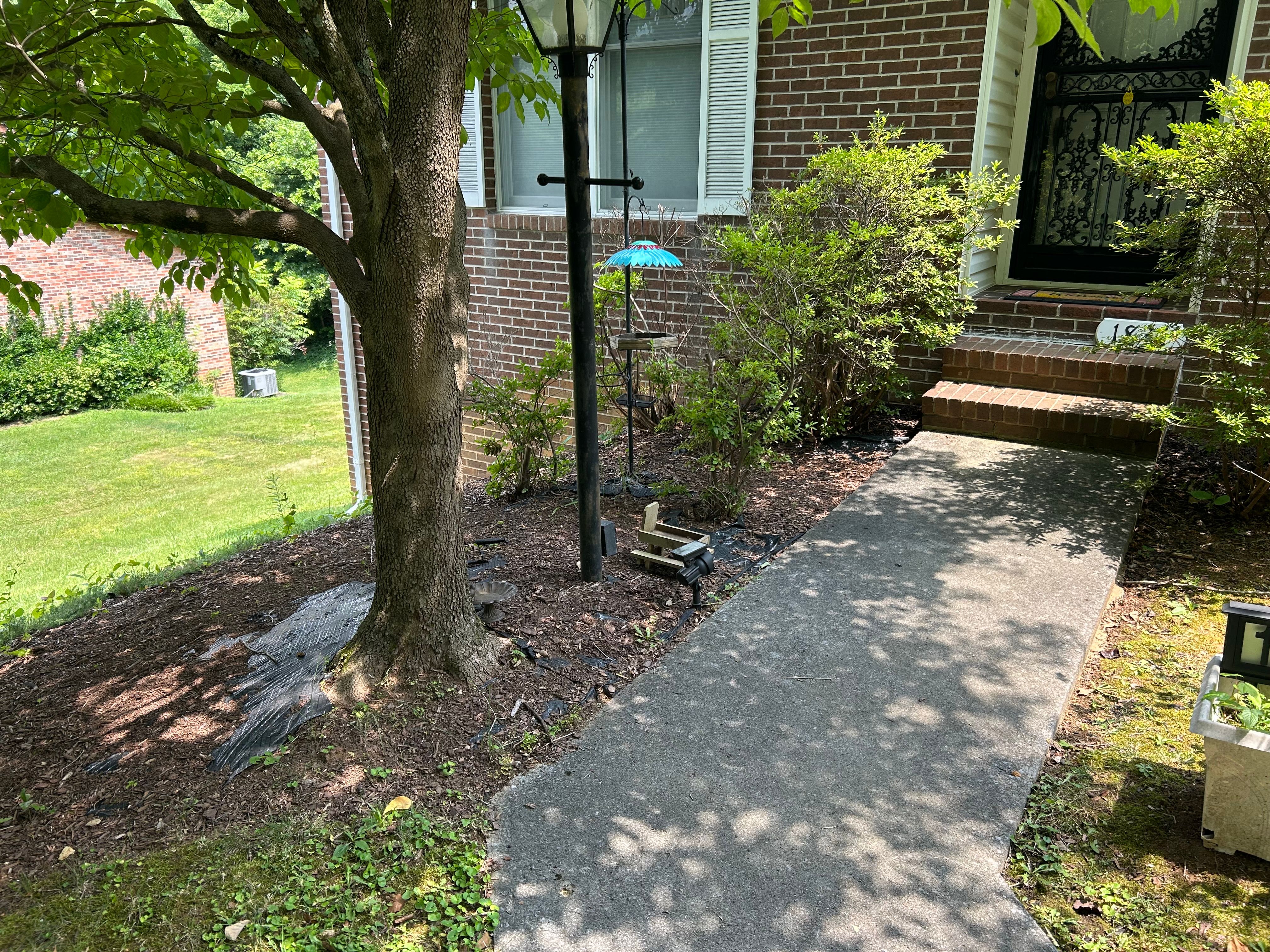 All Photos for Gatrell Landscape & Tree Removal in Bluff City, TN