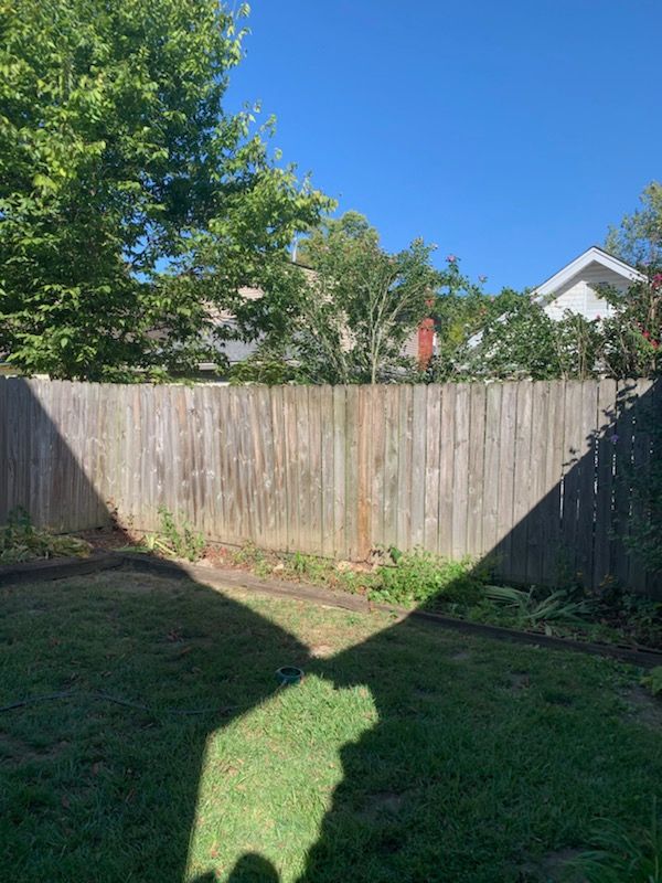  for Kingdom Tree Trimming and Removal LLC in Covington, KY