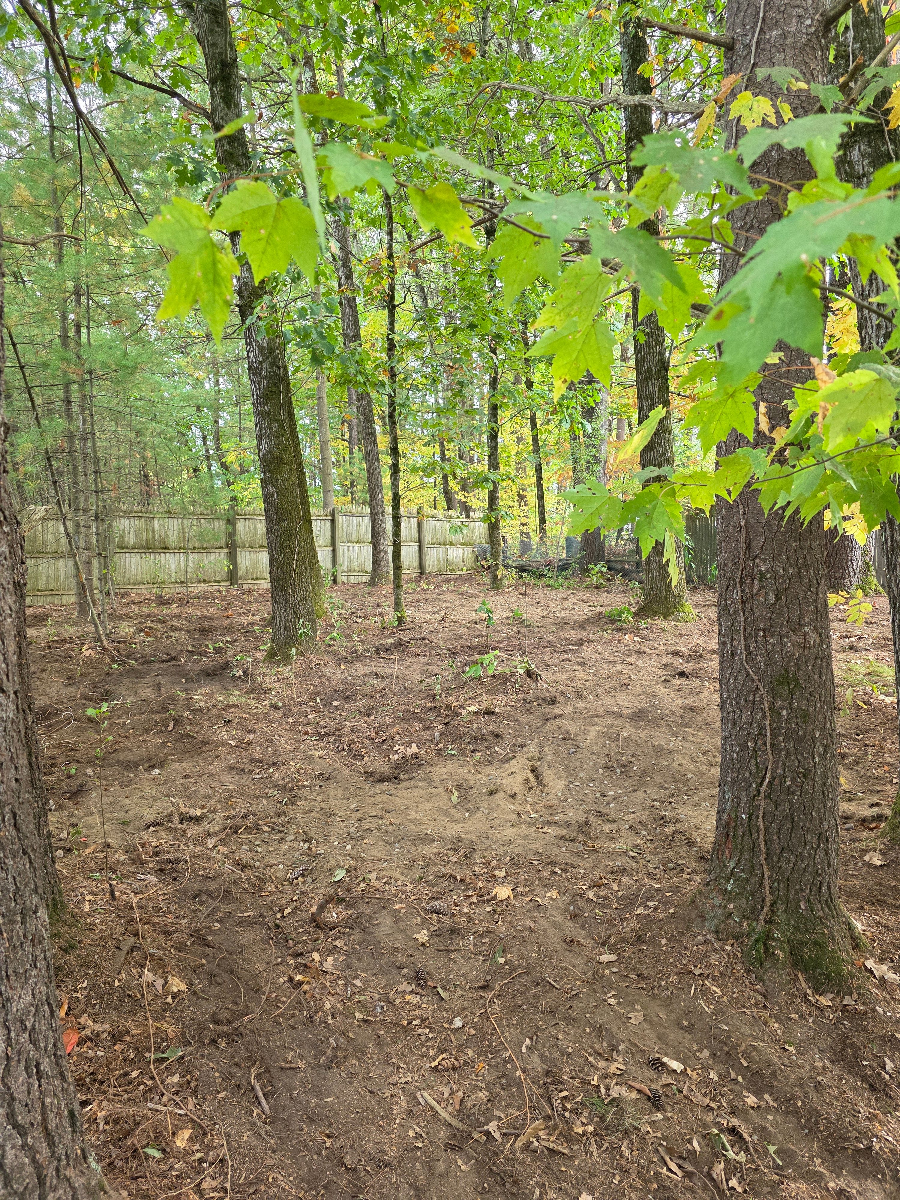  for Sweet Scapes in Ballston Spa, NY