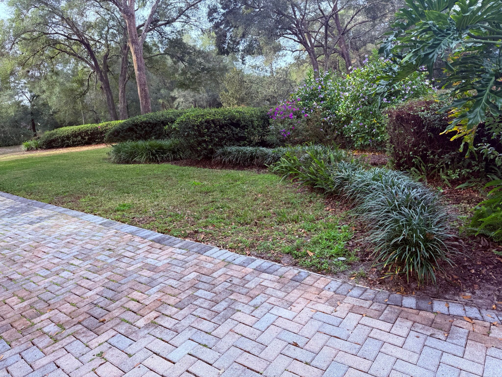  for Amerigrown Tree And Lawn in Apopka, FL