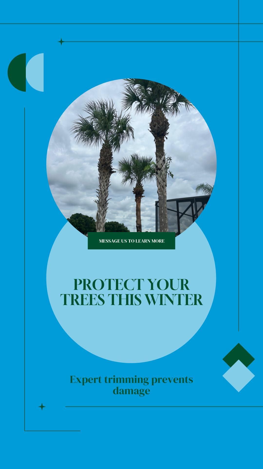 Irrigation System Design & Install for Ludlows Services in Clermont, FL