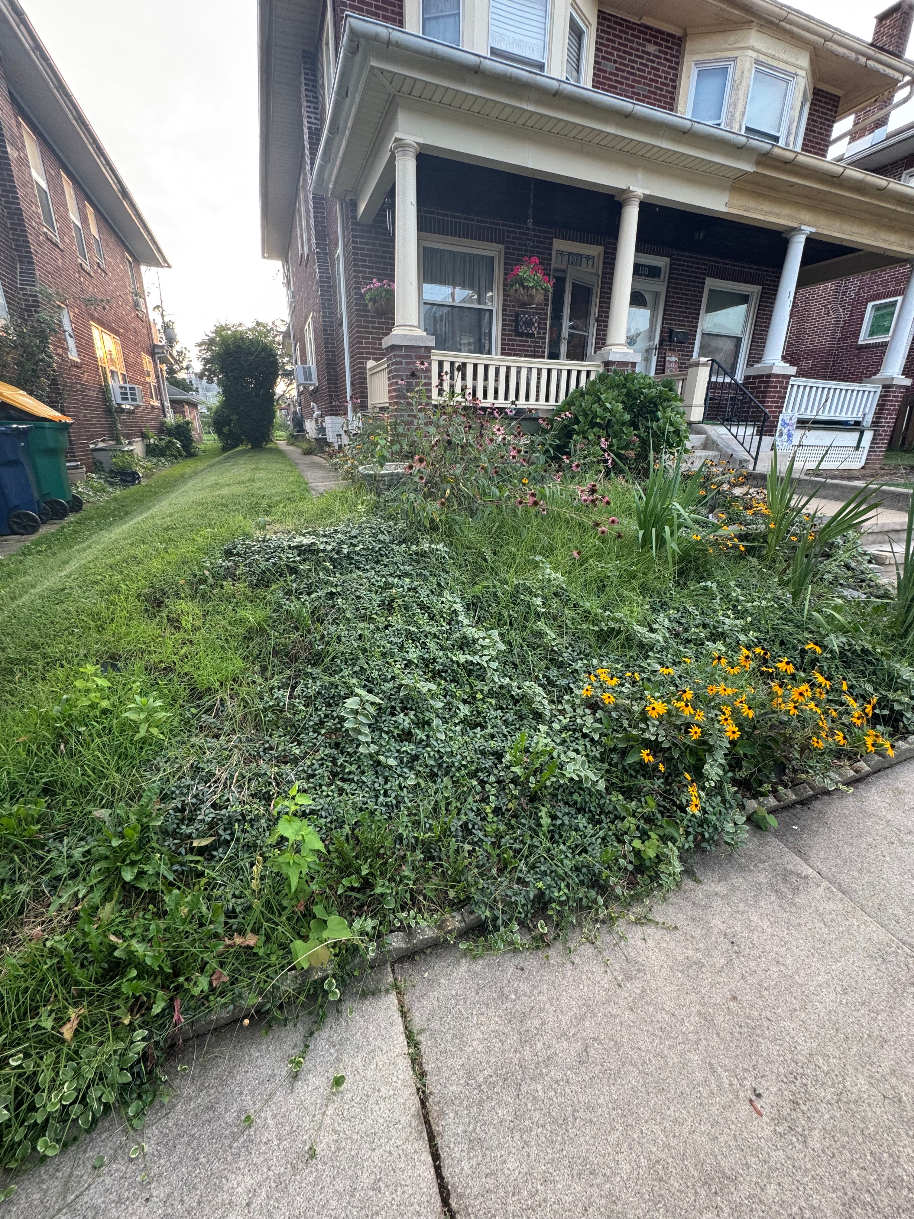  for Landscape & Lawn Care Pros in Allentown, PA