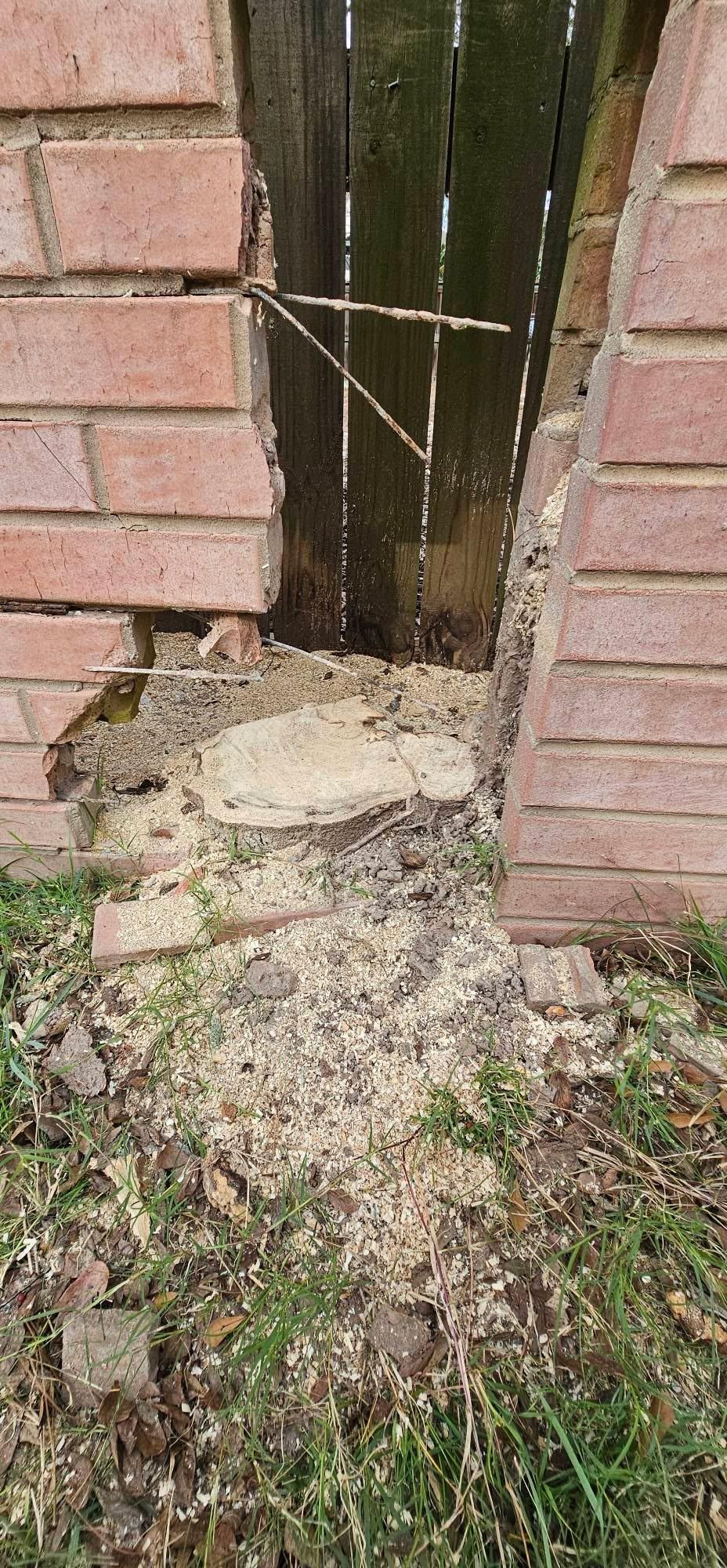  for Servin's Tree Care  in Houston, TX