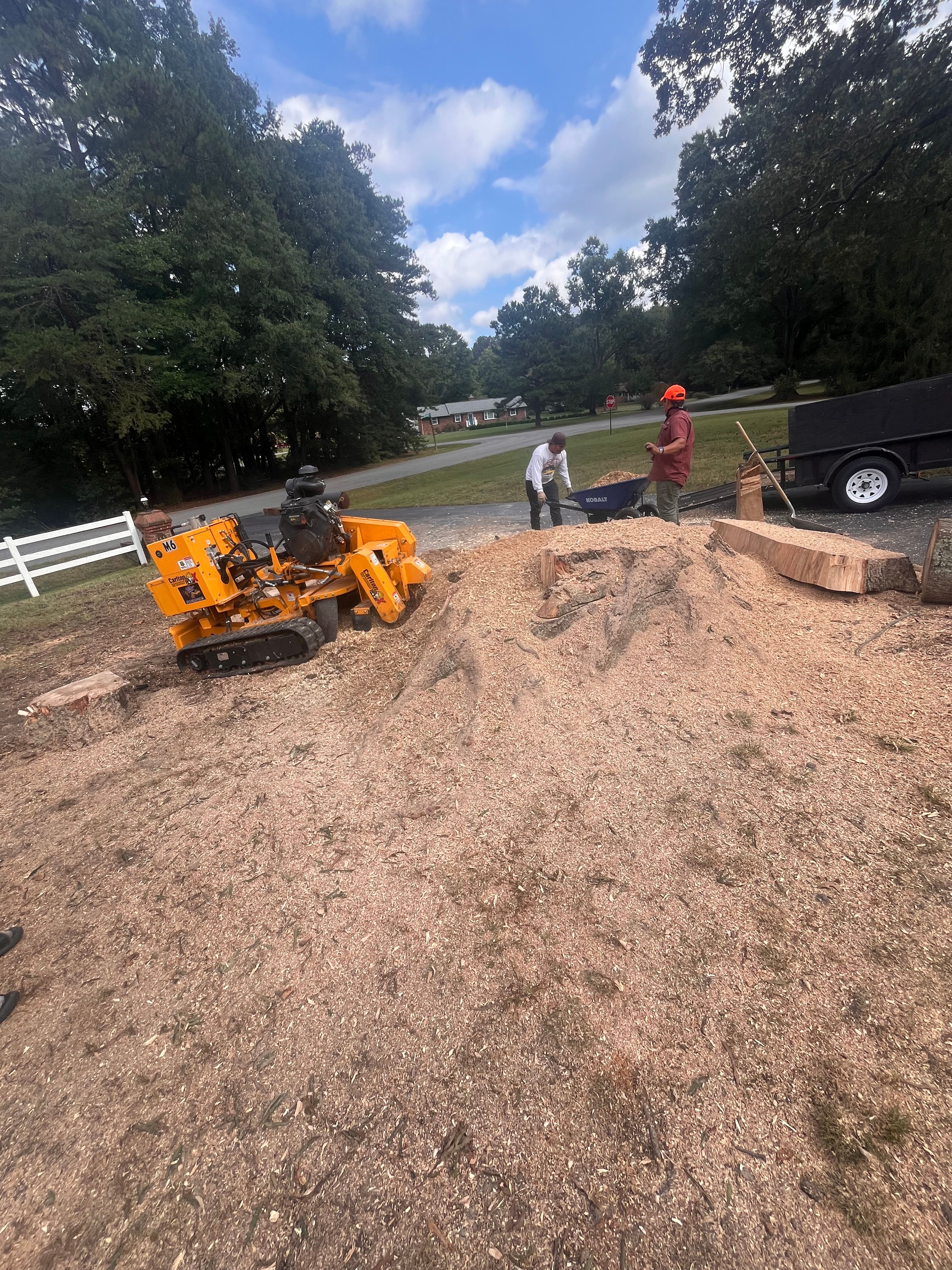  for Ricky's Tree Service & Property Care in Orange, VA