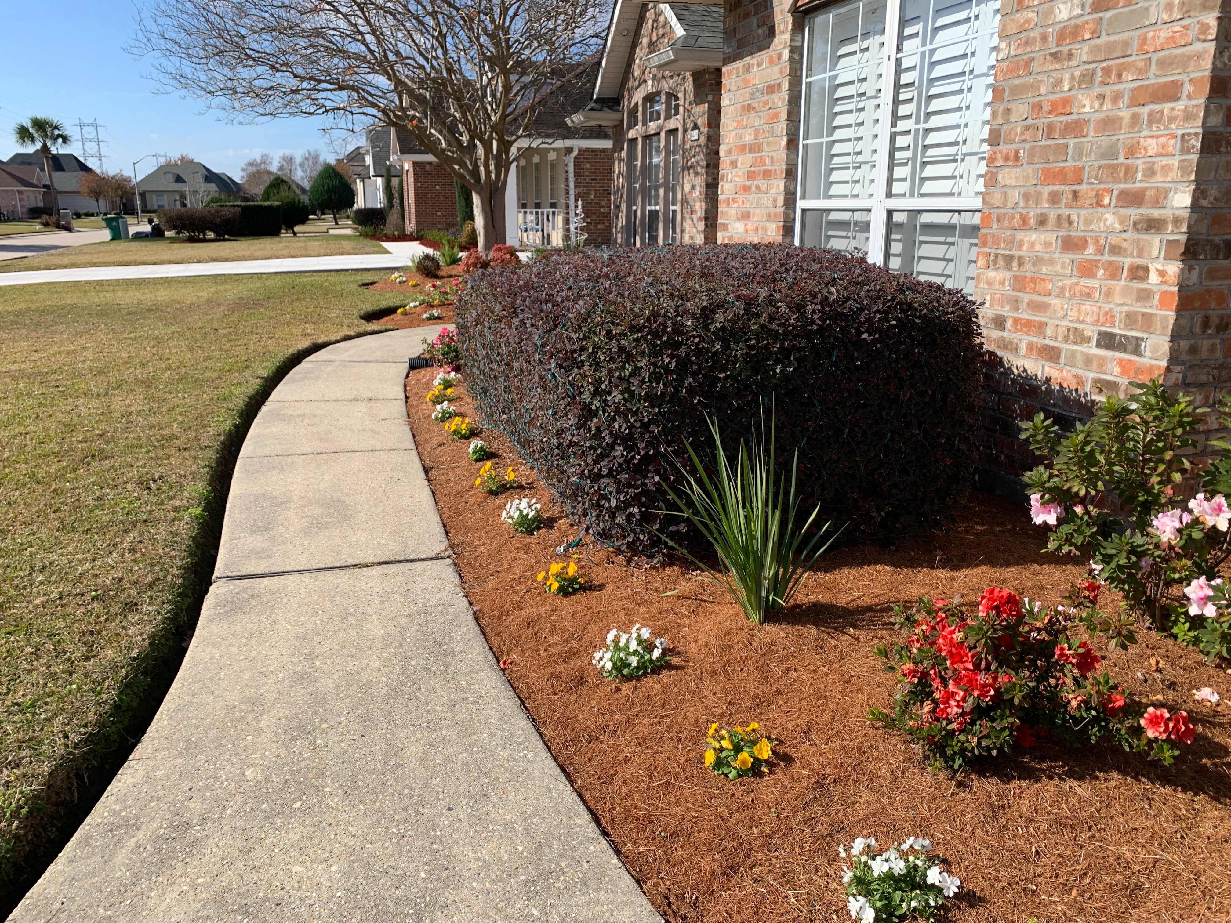  for Jay C’s Touch Landscaping & Pressure Washing Services LLC in Marrero, LA