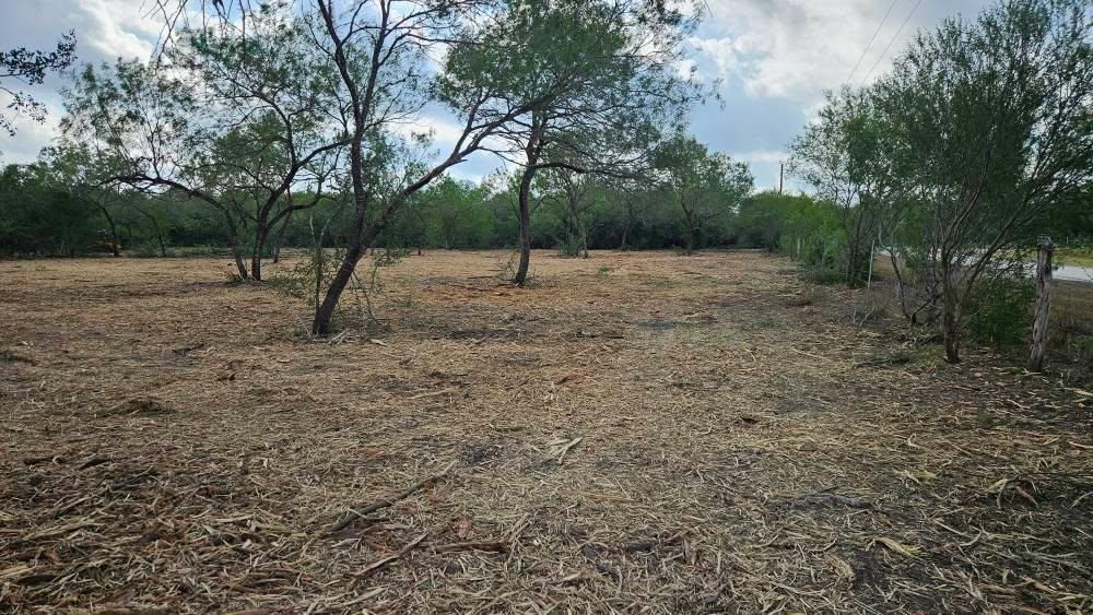 All Photos for Hernandez Land Clearing Services in Alice, TX