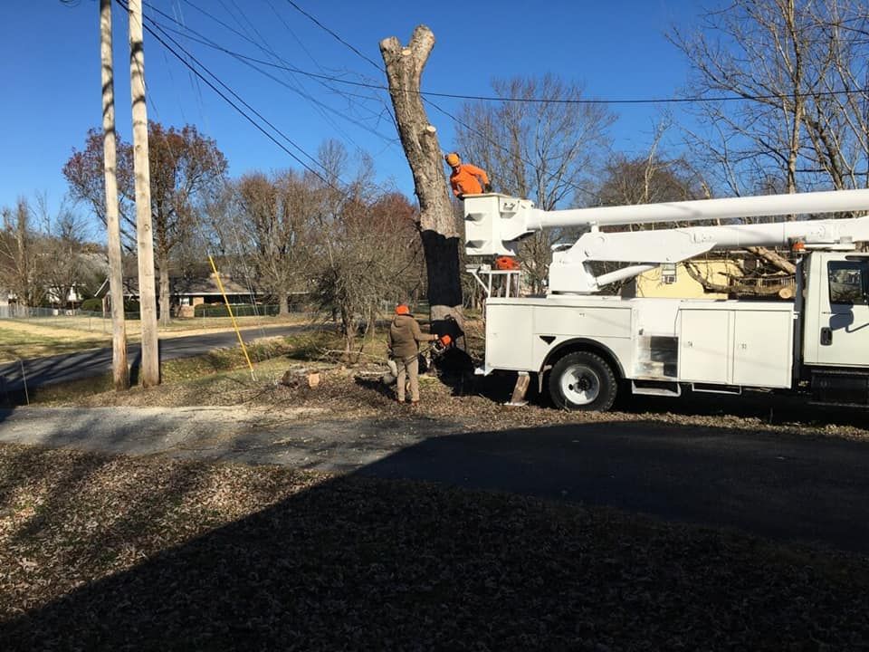  for Reagan & Sons Tree Service in Dandridge, TN