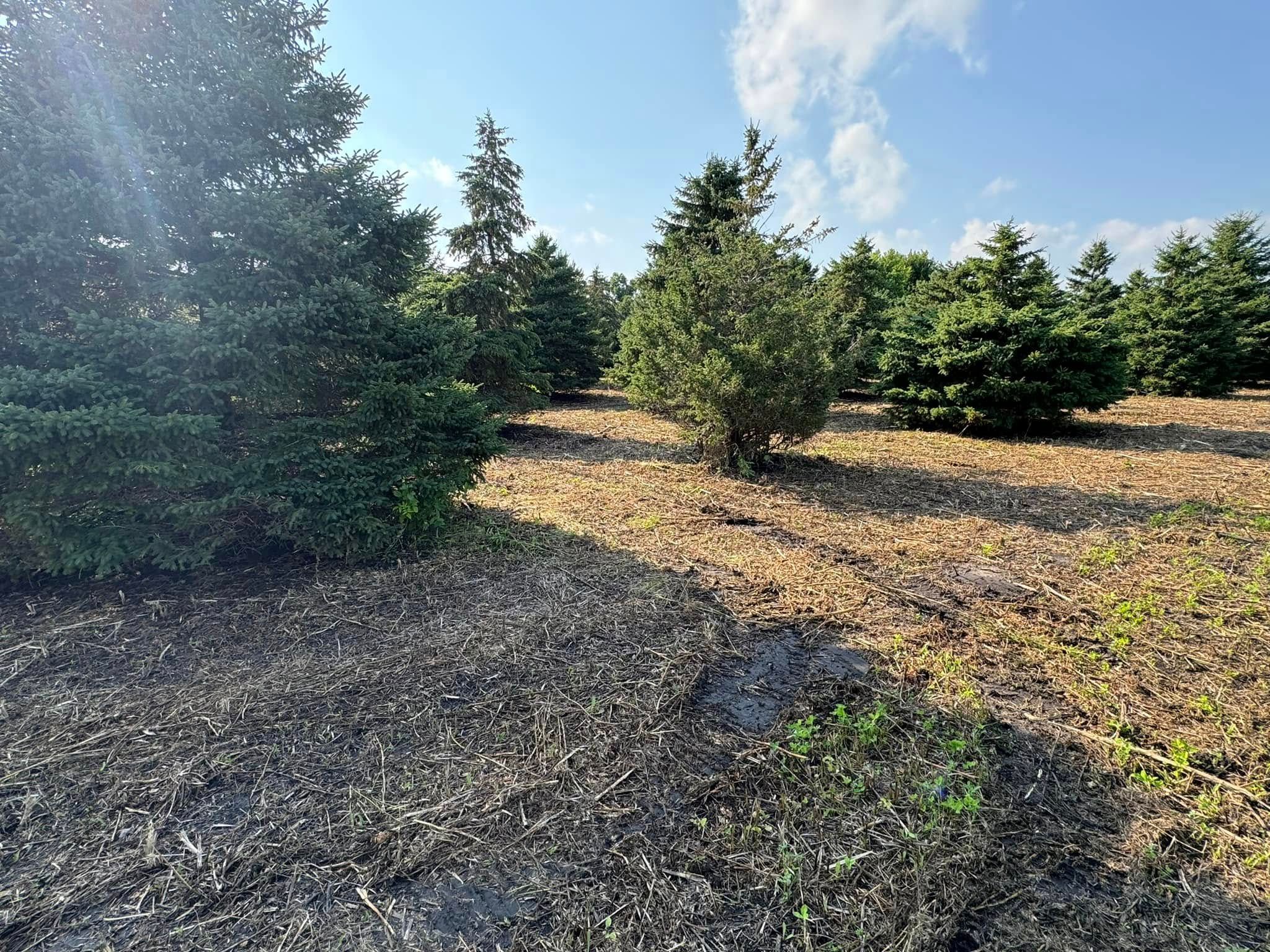  for RTK Co. Land Management in Raymond, MN