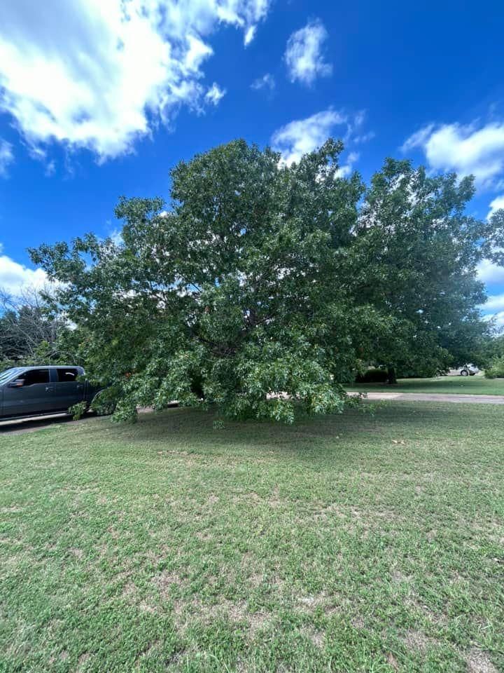  for Green Turf Landscaping in Kyle, TX