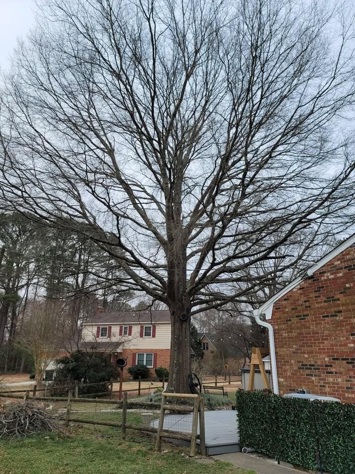  for Integrity Tree and Landscaping in Lynchburg, VA