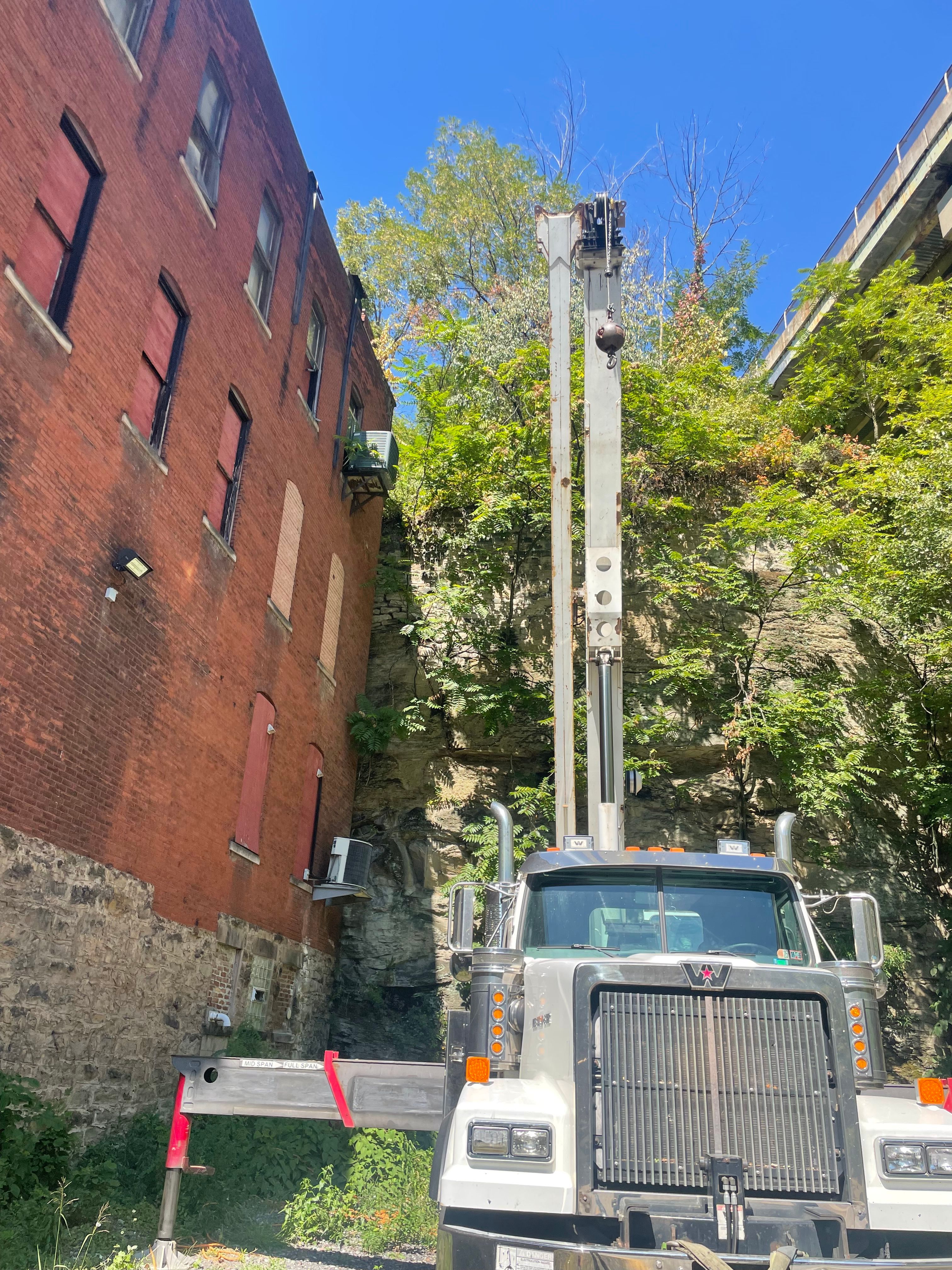  for TLC Professional Tree Service in Bedford, TX