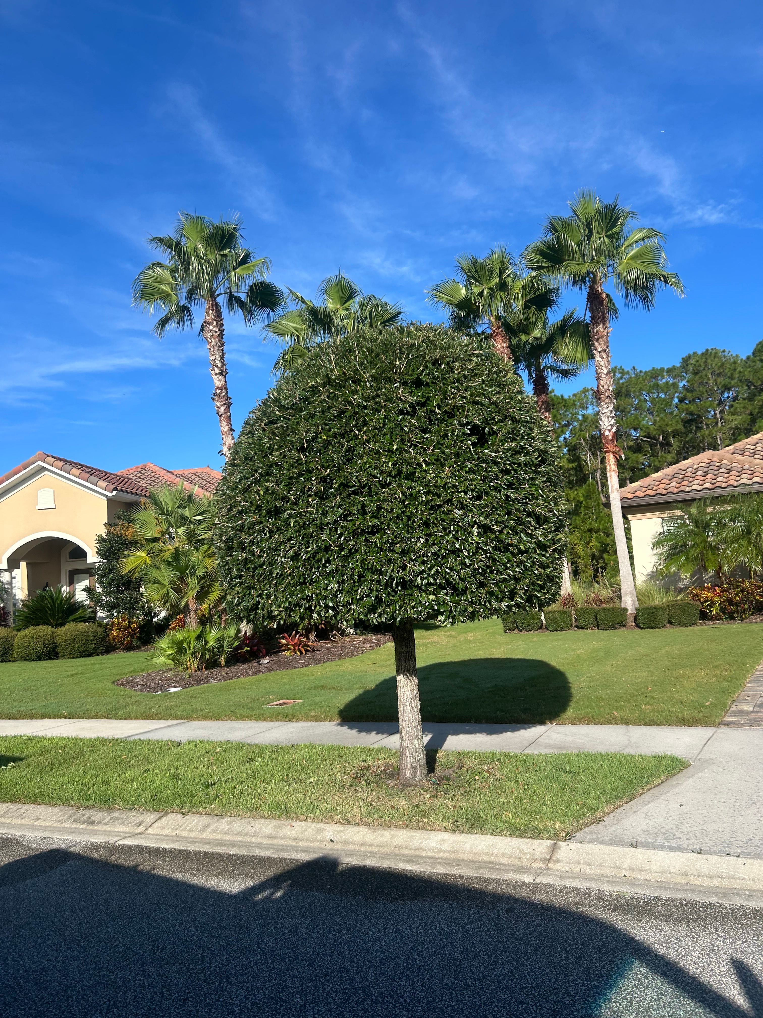 All Photos for Aside from the Rest in Port Orange, FL