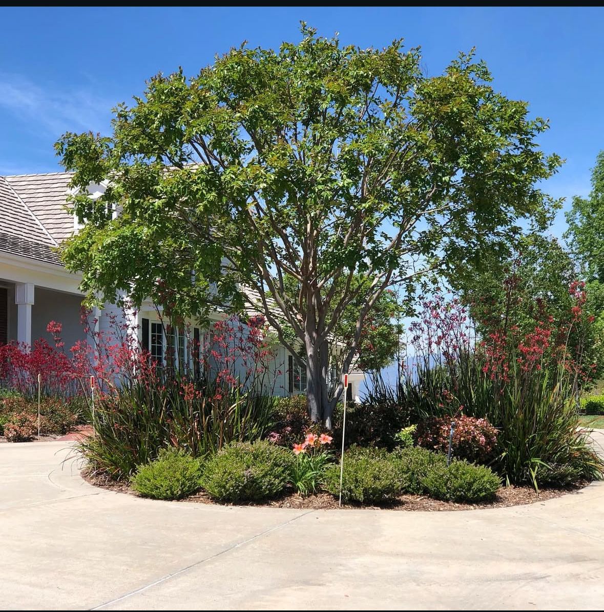  for Herreras Land Service in San Diego, CA