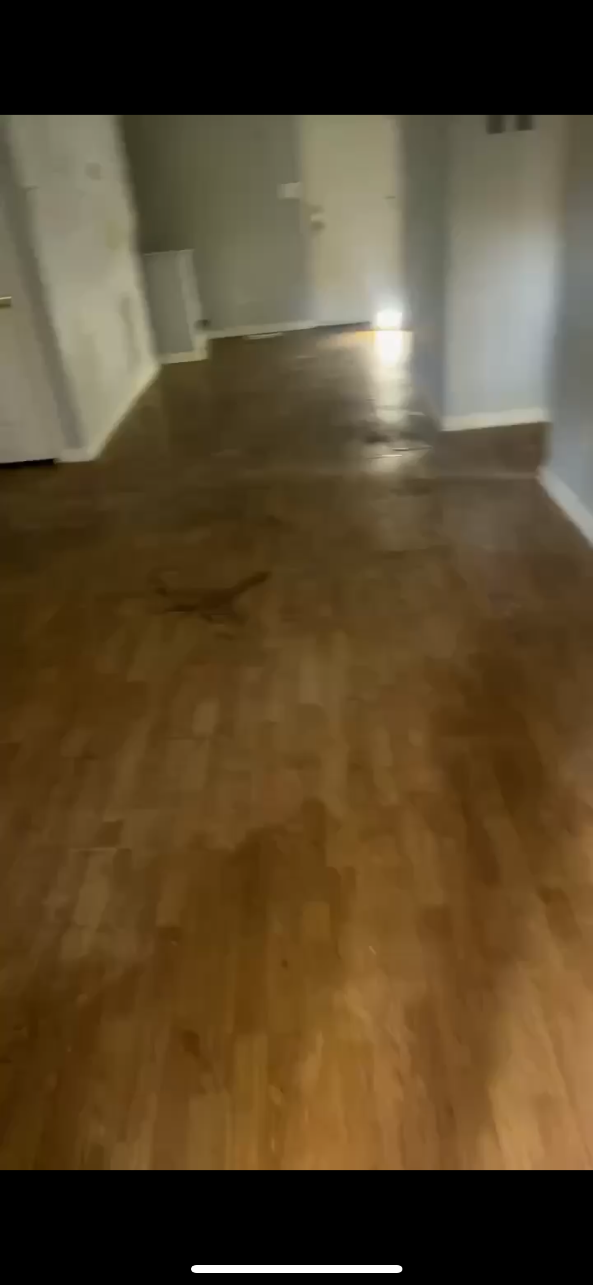  for Southern Solutions in Snellville, GA