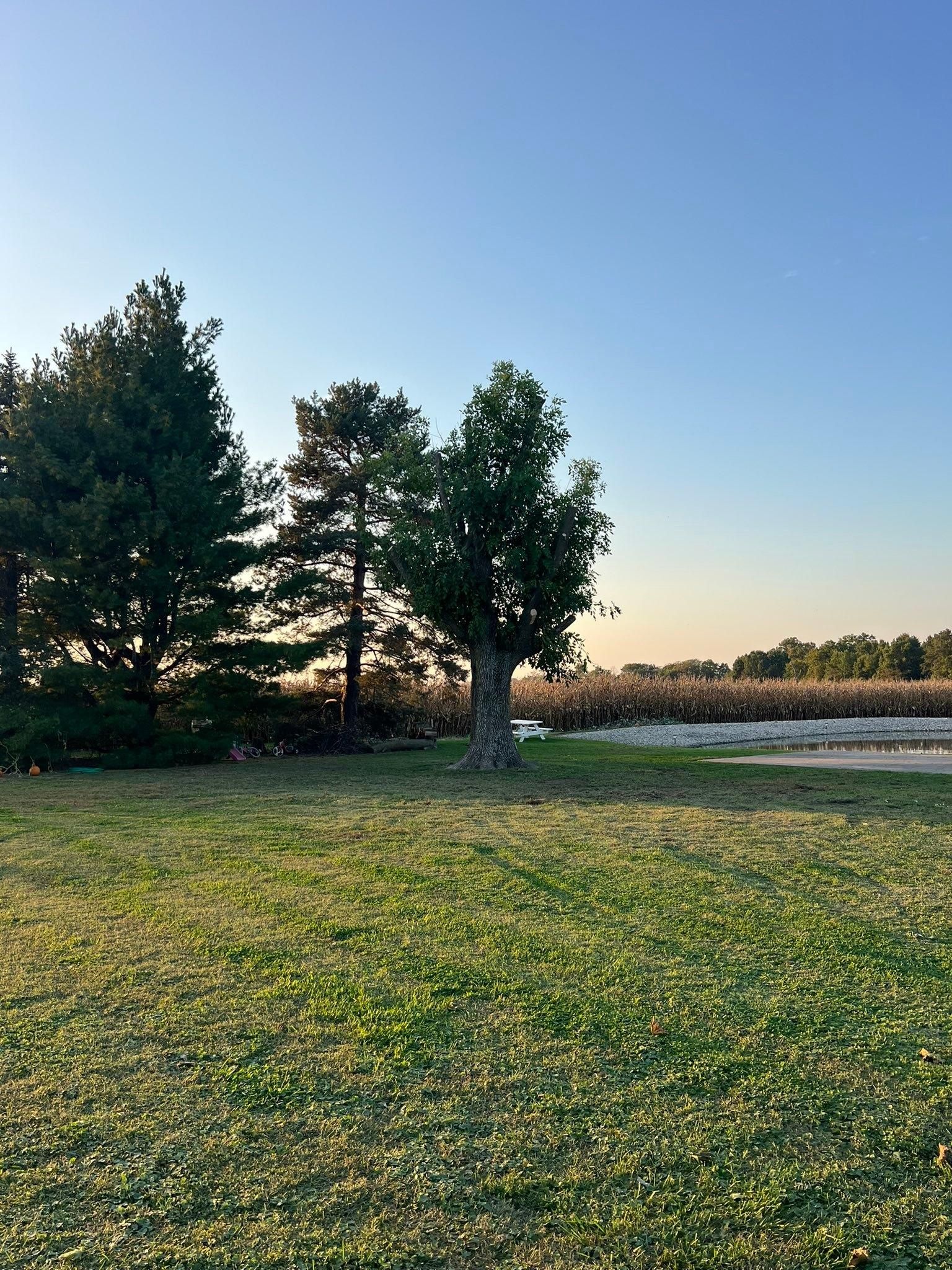 All Photos for Baker Professional Services LLC in Shelbina, MO