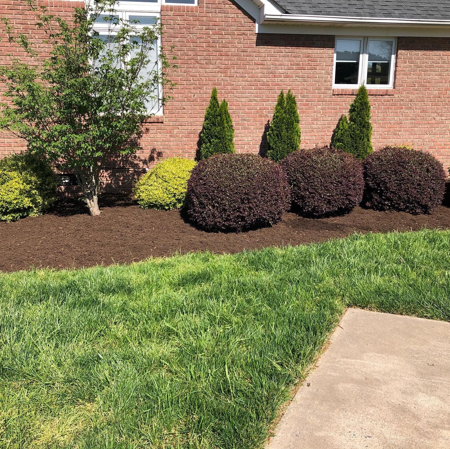 All Photos for Grandview Lawn Care in Norwood, NC