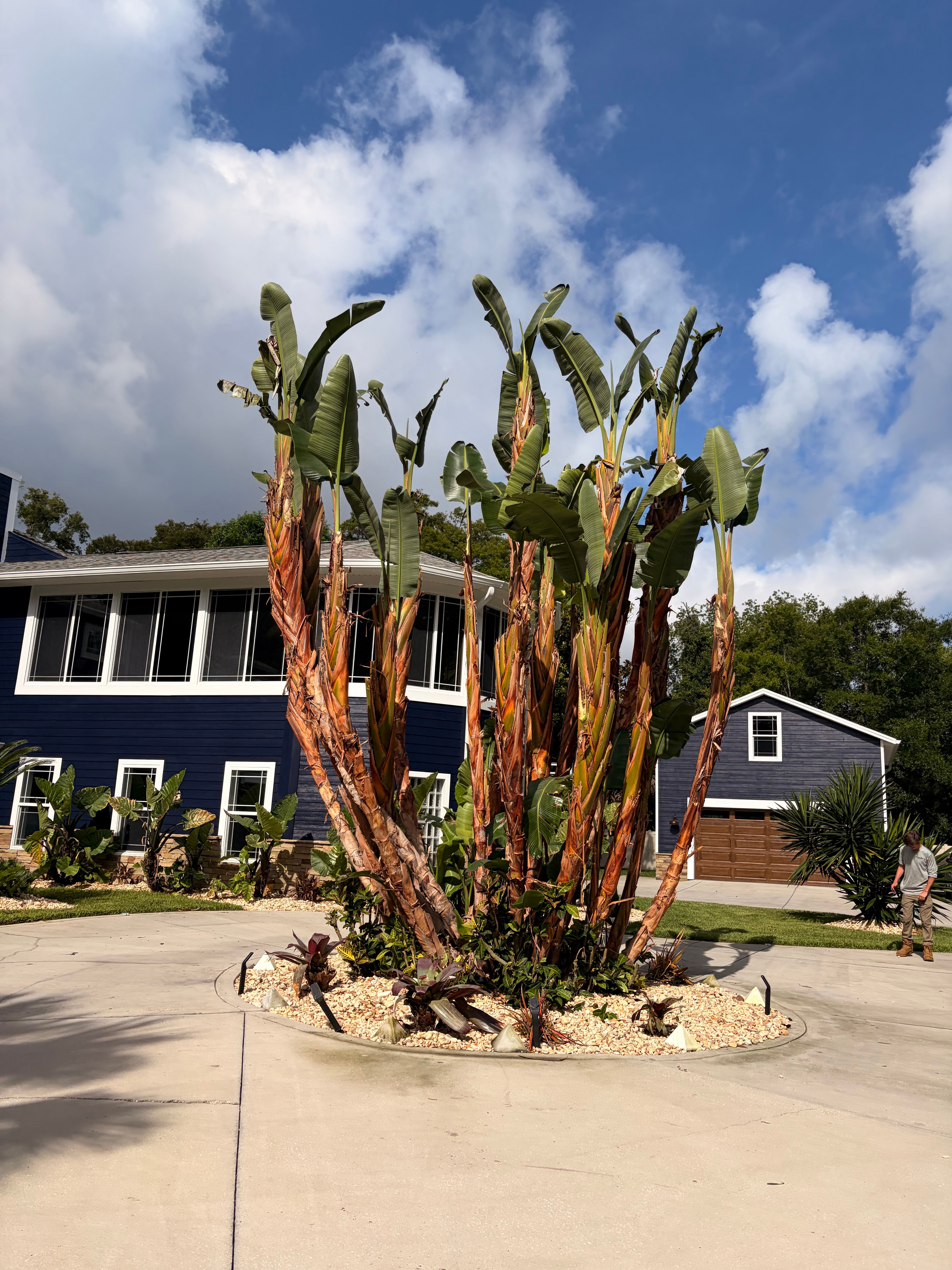  for Vanic's Landscaping in Port Orange, FL