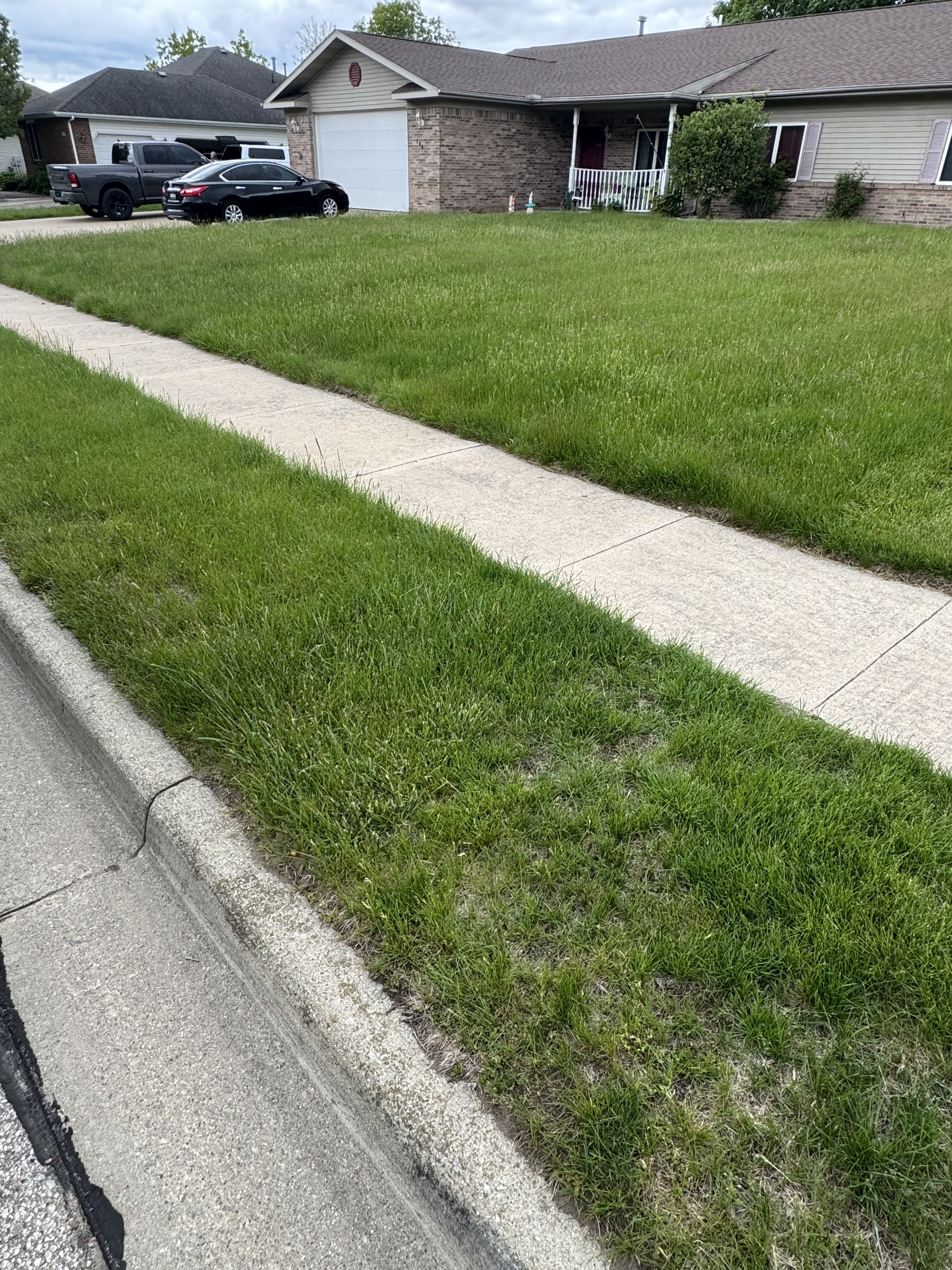  for Daugherty's Tough Lawn Care in Essexville, MI