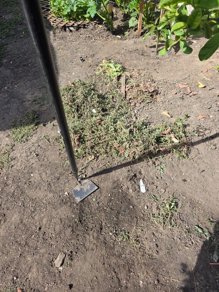  for CBA Landscaping in Hayward, CA