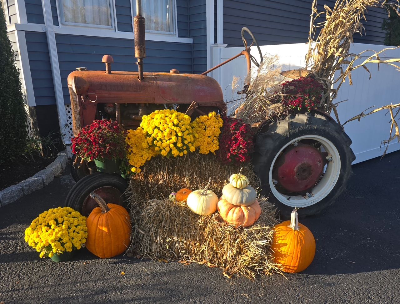  for M.J. Construction & Landscape INC in Bristol, RI