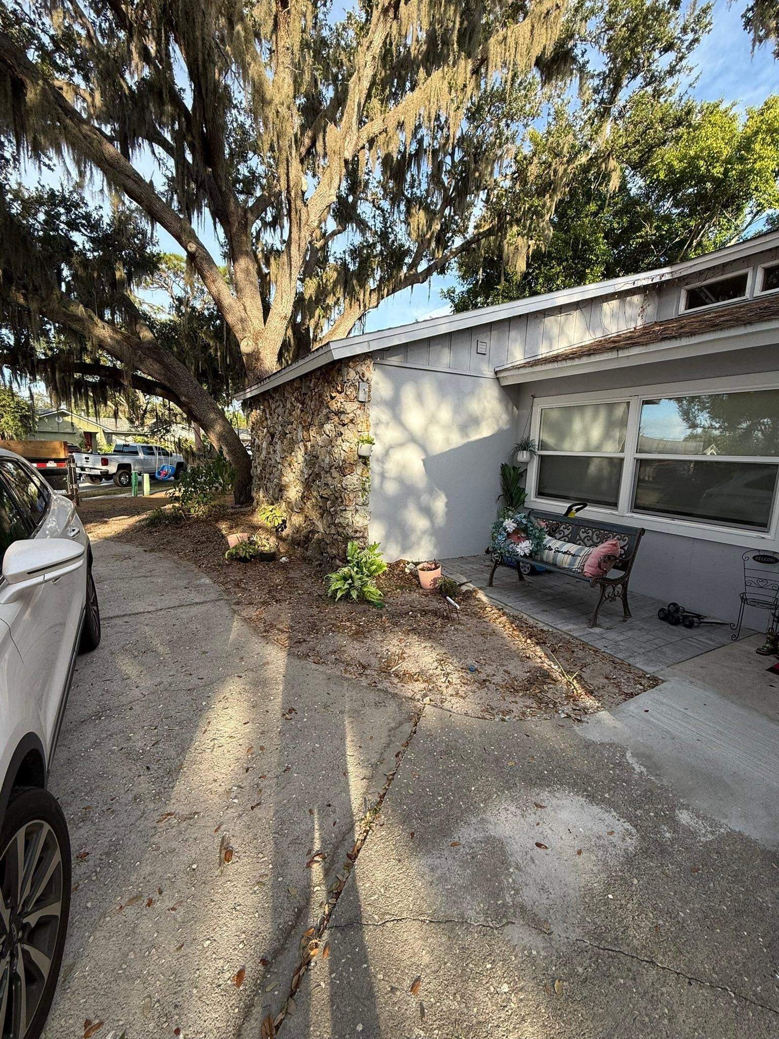  for Damian’s Tree Care in Sarasota, FL