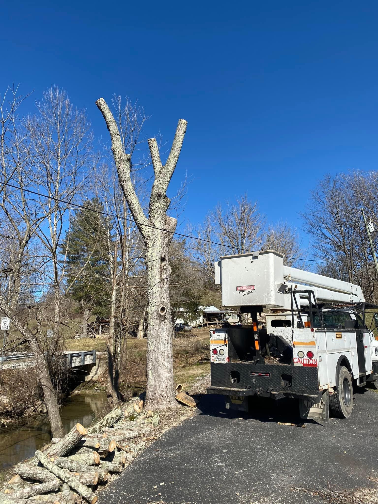 Fall and Spring Clean Up for Atwood’s Tree Care in Liberty,  KY