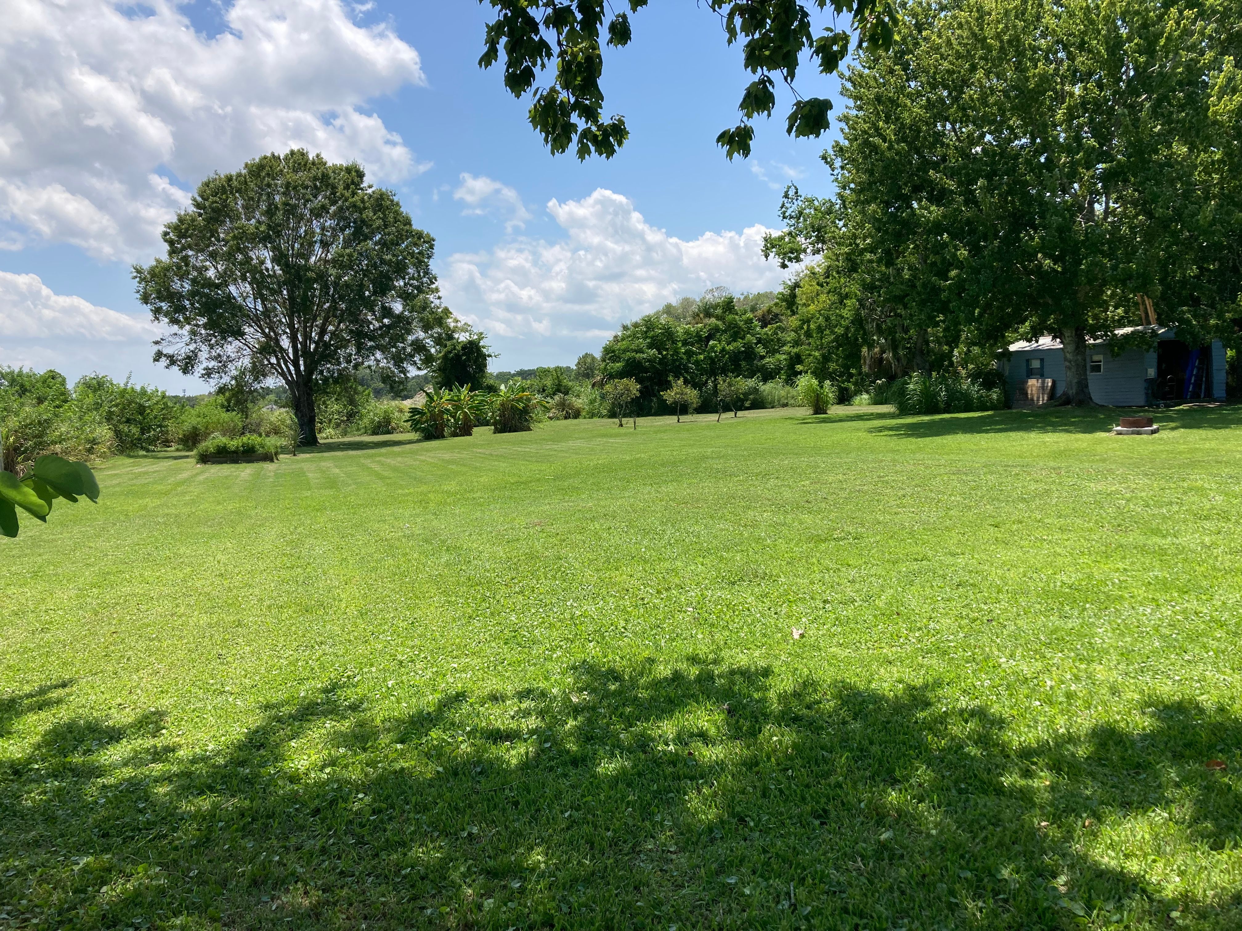 Mowing for Impressive Lawns 321 LLC in Titusville, FL