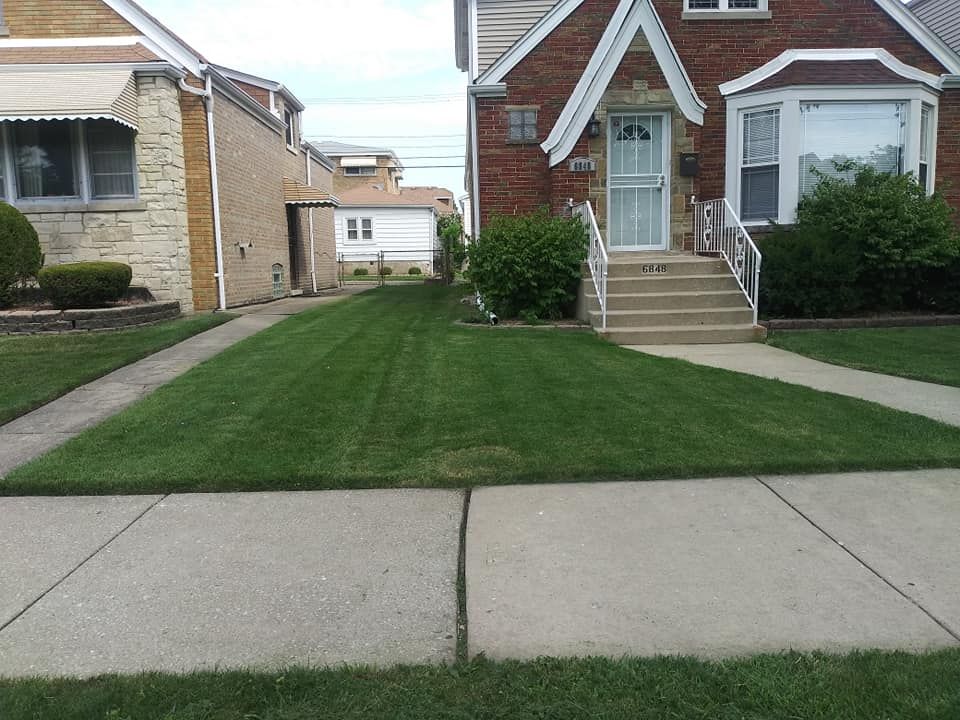 Photo number 7 of Leo's Lawn Care Services's best work performing a null job