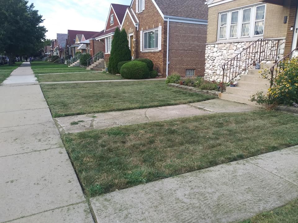 Photo number 1 of Leo's Lawn Care Services's best work performing a null job