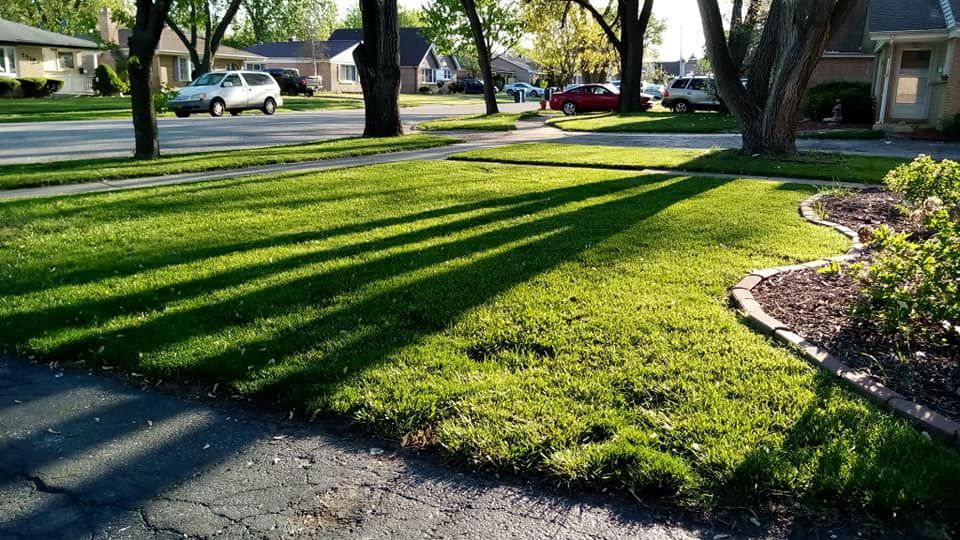 Photo number 2 of Leo's Lawn Care Services's best work performing a null job